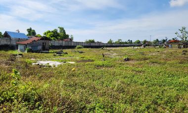 2 hectare Lot for sale in Lapu-lapu City Cebu