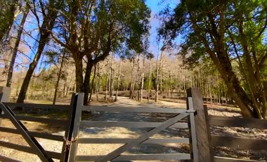 Parcela en venta con vista al lago y volcán Villarrica - Huillipilún, Villarrica