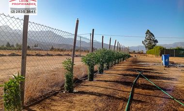 🏠León Propiedades arrienda casa en parcela en cercanías camino El Toro Curacaví🏠