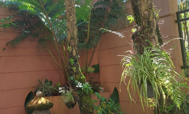 Modern Design Home with 5 Spacious Bedrooms for Sale in Baguio City