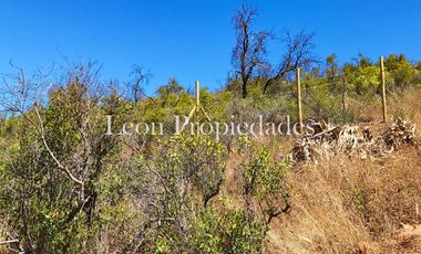 Se venden 3 Parcelas en condominio, sector el Quillay, Curacavi. (Se ofrece Crédito Directo)