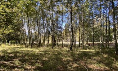 Z O N A S U R . C L En venta Parcela de 5.000 m2. Ubicada en condominio a minutos de Villarrica