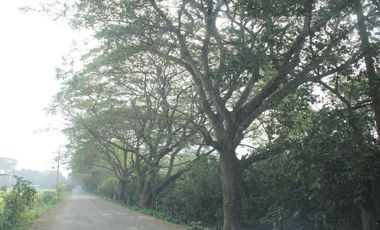 Rancho en venta cerca del aeropuerto internacional de villahermosa, tabasco