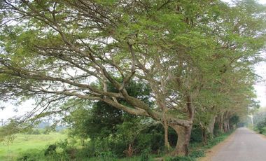 Rancho en venta cerca del aeropuerto internacional de villahermosa, tabasco