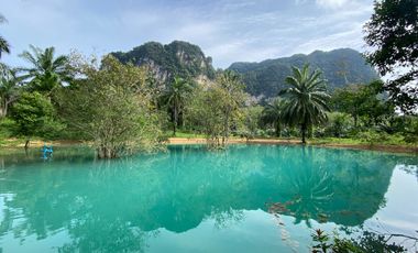 9 rai of Durian plantation has natural crystal pond with mountain view for sale in Nong thale, Krabi