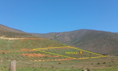 Cabildo, oferta 12.000 mts2 en 2 parcelas 100% naturaleza viva