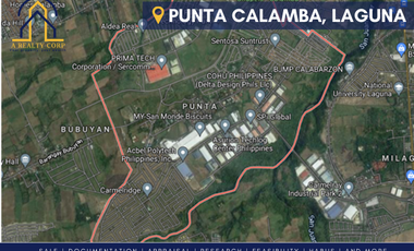 Lot for sale in Punta, Calamba Laguna