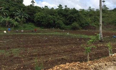Agricultural Lot in Cajel, Borbon, Cebu