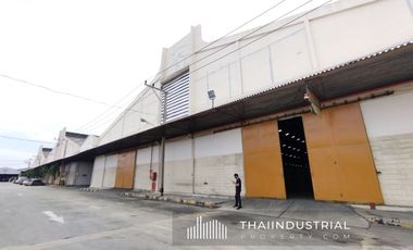 Factory or Warehouse 6,006 sqm for RENT at Samrong, Phra Pradaeng, Samut Prakan / 泰国仓库/工厂，出租/出售 (Property ID: AT549R)