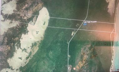 Terreno en venta en Xcalak Quintana Roo