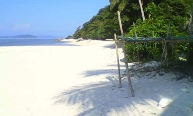 126 Hectares Island For Sale at Dipalian Island, Palawan (Culion)