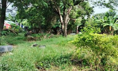 Lot For sale in Mohon Talisay  Lot area  2,477 square meters along the Road