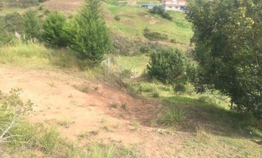 Terreno en venta 4.250m2 entre Zhucay y Tarqui, sur de Cuenca $47.000dlrs.