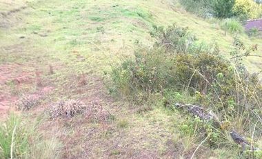 Terreno en venta 4.250m2 entre Zhucay y Tarqui, sur de Cuenca $47.000dlrs.