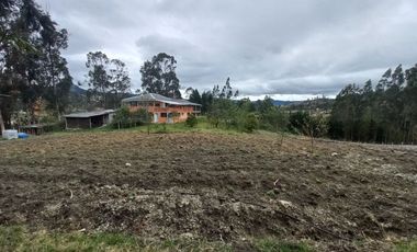 QUINTA CON PISCINA EN VENTA, DE UNA HECTAREA DE TERRENO, Sector: Guarangos Grande, Azogues