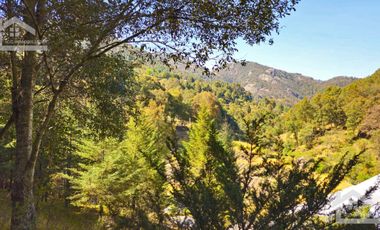 VENTA HERMOSO terreno en el bosque cerca de Mineral del Chico $700 el m2