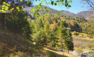 VENTA HERMOSO terreno en el bosque cerca de Mineral del Chico $700 el m2