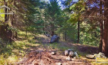 VENTA HERMOSO terreno en el bosque cerca de Mineral del Chico $700 el m2