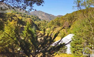 VENTA HERMOSO terreno en el bosque cerca de Mineral del Chico $700 el m2