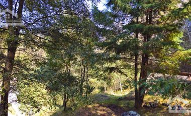 VENTA HERMOSO terreno en el bosque cerca de Mineral del Chico $700 el m2