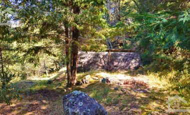 VENTA HERMOSO terreno en el bosque cerca de Mineral del Chico $700 el m2