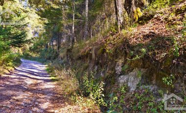 VENTA HERMOSO terreno en el bosque cerca de Mineral del Chico $700 el m2