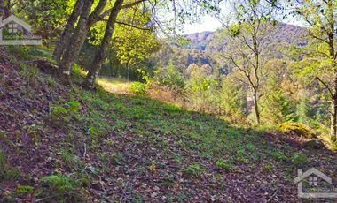 VENTA HERMOSO terreno en el bosque cerca de Mineral del Chico $700 el m2