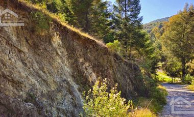 VENTA HERMOSO terreno en el bosque cerca de Mineral del Chico $700 el m2