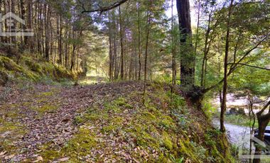 VENTA HERMOSO terreno en el bosque cerca de Mineral del Chico $700 el m2