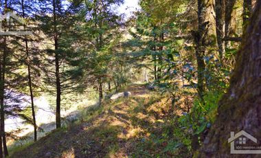 VENTA HERMOSO terreno en el bosque cerca de Mineral del Chico $700 el m2