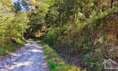 VENTA HERMOSO terreno en el bosque cerca de Mineral del Chico $700 el m2