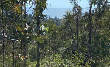 Venta 15 Hectáreas con Vista al Mar de Matanzas