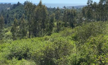 Venta 15 Hectáreas con Vista al Mar de Matanzas
