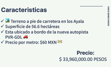 TERRENO A PIE DE LA NUEVA AUTOPISTA ALTURA DE LOS AYALA