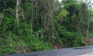 TERRENO A PIE DE LA NUEVA AUTOPISTA ALTURA DE LOS AYALA