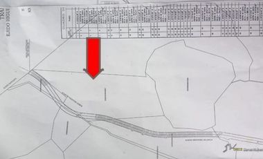 TERRENO A PIE DE LA NUEVA AUTOPISTA ALTURA DE LOS AYALA