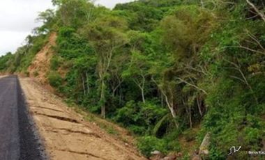 TERRENO A PIE DE LA NUEVA AUTOPISTA ALTURA DE LOS AYALA