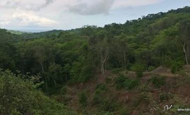 TERRENO A PIE DE LA NUEVA AUTOPISTA ALTURA DE LOS AYALA