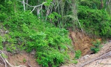 TERRENO A PIE DE LA NUEVA AUTOPISTA ALTURA DE LOS AYALA
