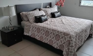 Departamento en renta en Torre Celsus zona norte