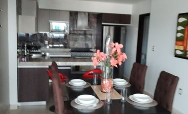 Departamento en renta en Torre Celsus zona norte