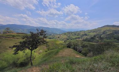 SE VENDEN LOTES EN SAN RAFAEL ANTIOQUIA