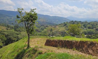 SE VENDEN LOTES EN SAN RAFAEL ANTIOQUIA
