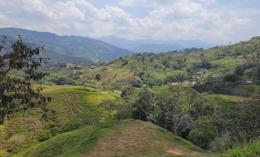 SE VENDEN LOTES EN SAN RAFAEL ANTIOQUIA