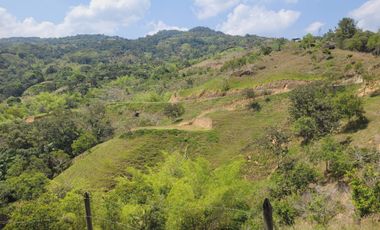 SE VENDEN LOTES EN SAN RAFAEL ANTIOQUIA