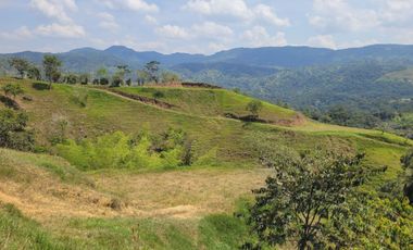 SE VENDEN LOTES EN SAN RAFAEL ANTIOQUIA