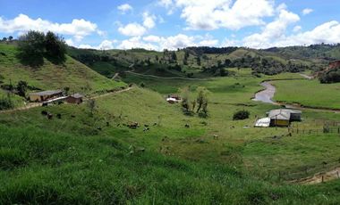 Venta Finca Ganadera y Agrícola Santa Rosa de Osos Antioquia