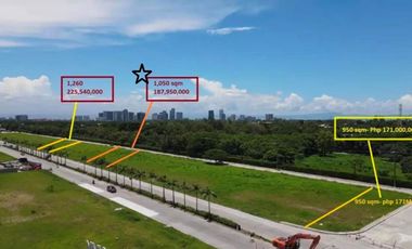 Lot For Lease in Alabang West