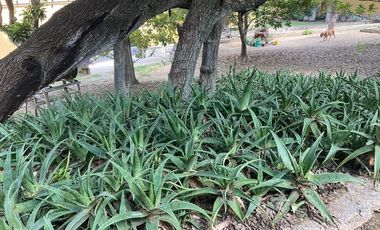RENTA CASA EN VILLAS LA RIOJA CARRETERA NACIONAL