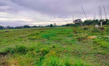 Lot for sale 3hectares  with ricefield, deep well and etc. at Ubay Bohol Philippines 3.5m